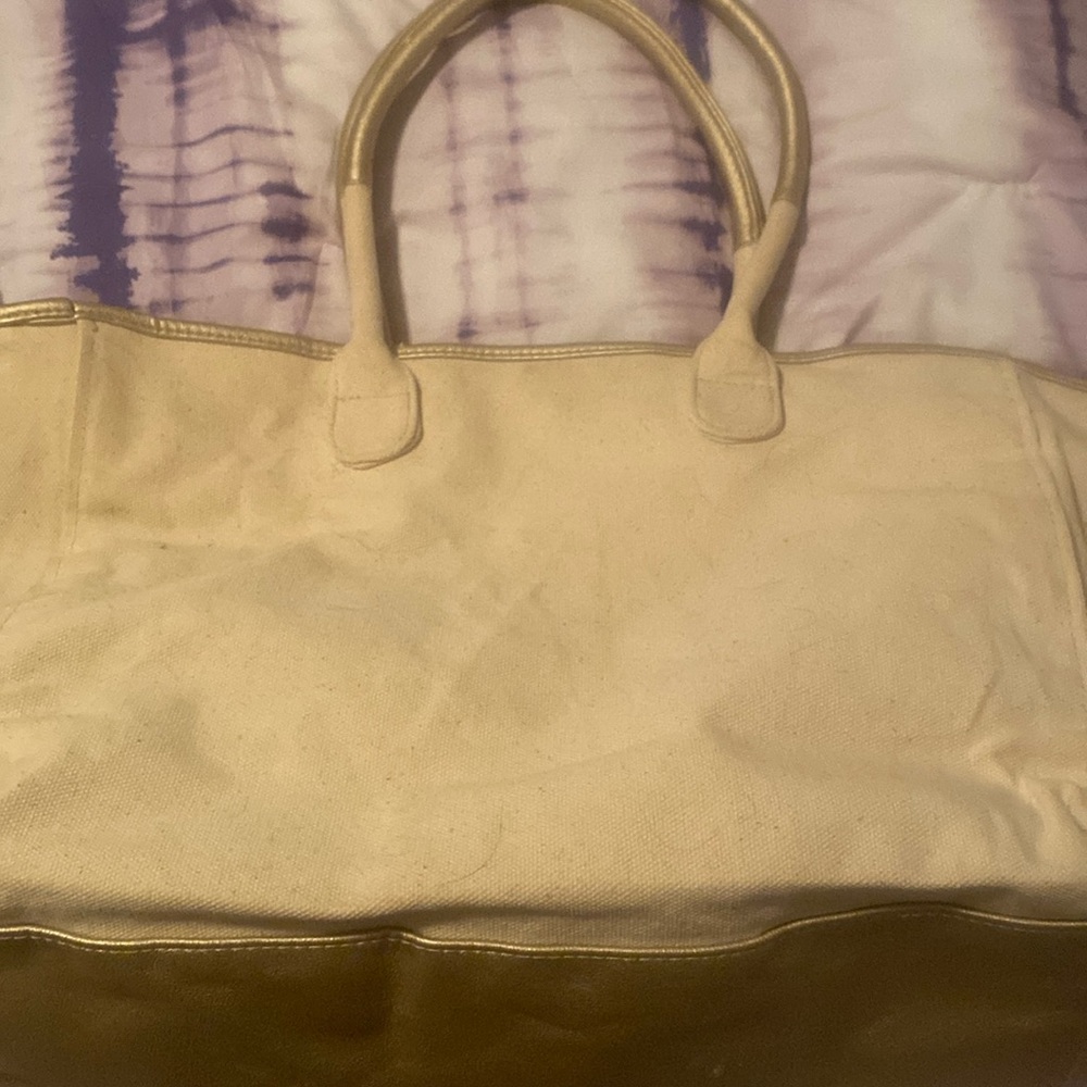 A plane tote bag .